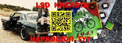 таблы Новозыбков