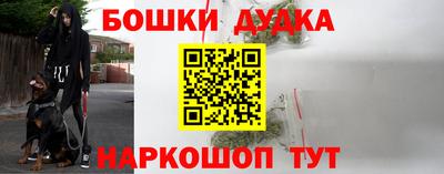 таблы Новозыбков