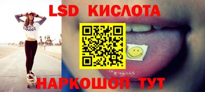 таблы Новозыбков
