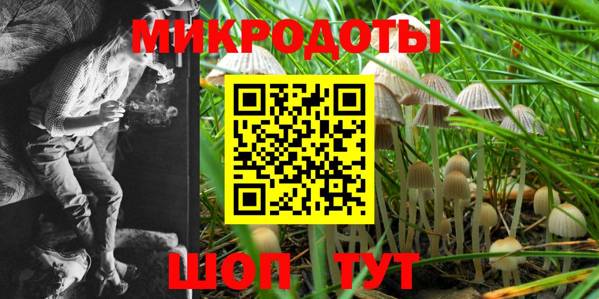 Галлюциногенные грибы Cubensis  Вход с VPN  Тамбов  Псилоцибиновые грибы Cubensis 